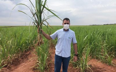 Pederneiras-SP: PERFYL contribui para plantação de cana-de-açúcar ter força para enfrentar déficit hídrico