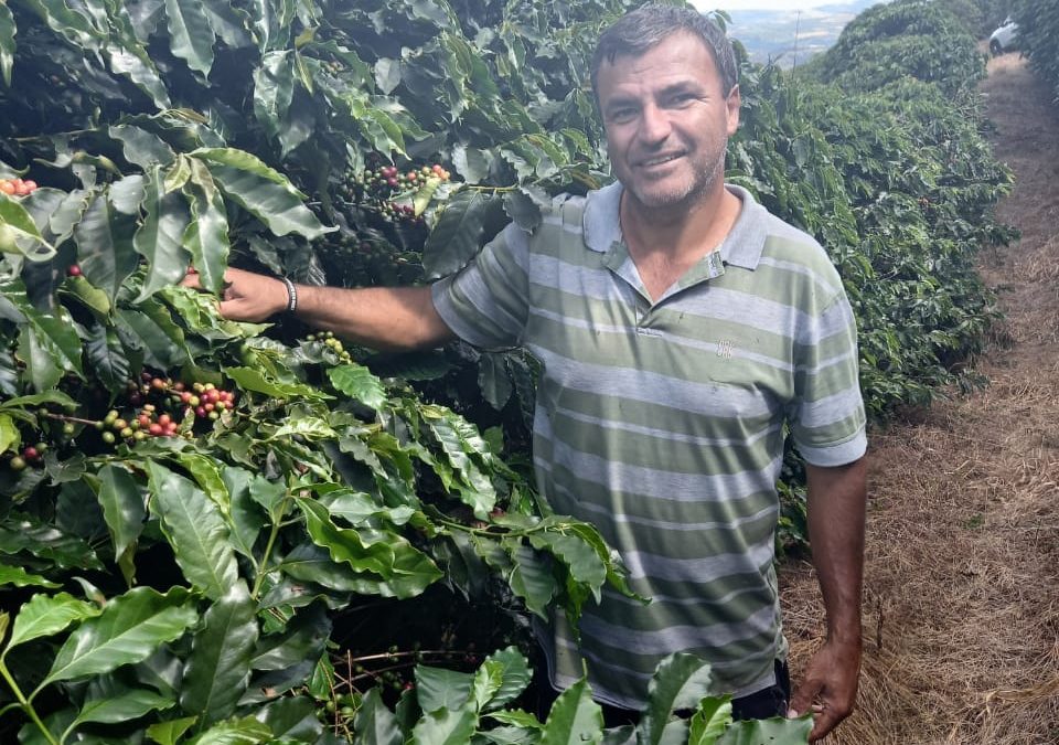 Café de alto padrão com produtos BRAVYA: “Me arrependi de não ter usado antes”, diz produtor de Carmo de Minas-MG