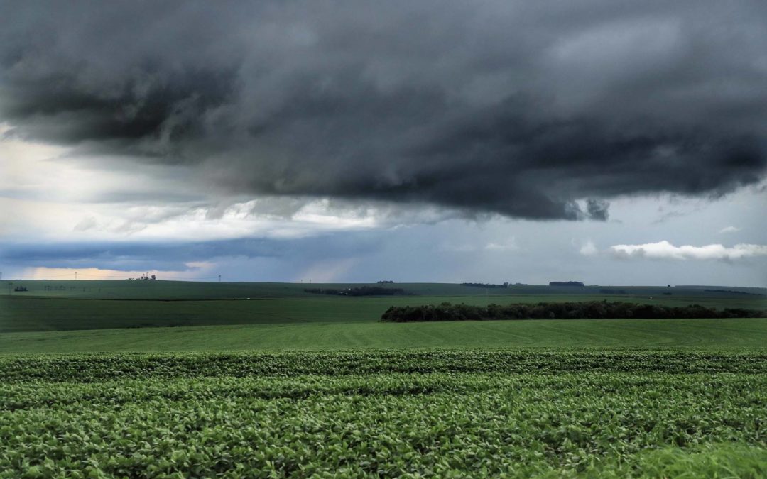 Chuvas de outubro animam produtores; correção de solo é fundamental