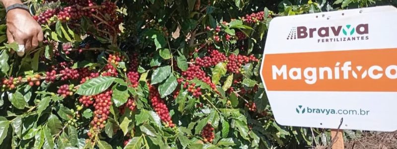 Imagem do WhatsApp de 2025-09-22 à(s) 11.05.40_ab1cfbe1