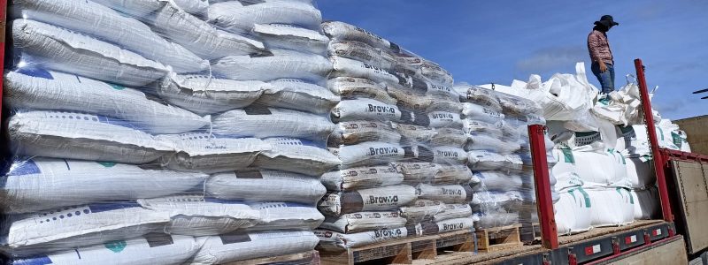 Imagem do WhatsApp de 2025-11-27 à(s) 08.37.56_b7169625