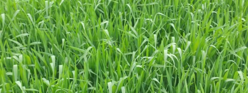 WhatsApp Image 2026-01-14 at 08.38.05