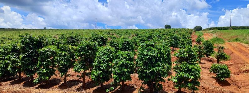 WhatsApp Image 2026-02-12 at 09.32.42 (2)