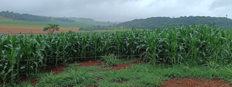 WhatsApp Image 2026-03-05 at 08.46.21