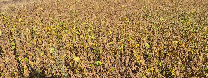 WhatsApp Image 2026-03-17 at 13.30.54 (1)