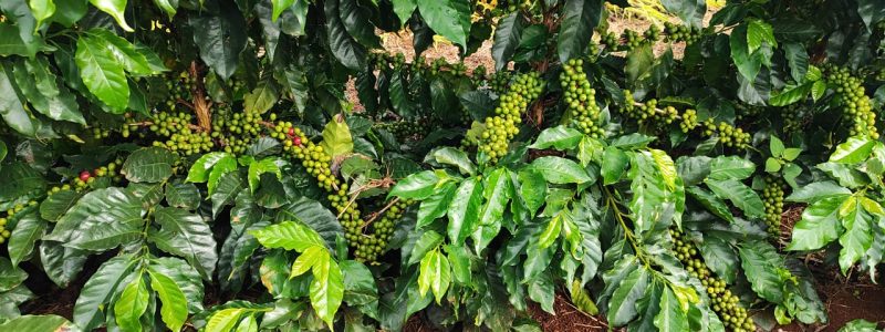 WhatsApp Image 2026-04-08 at 10.32.05 2